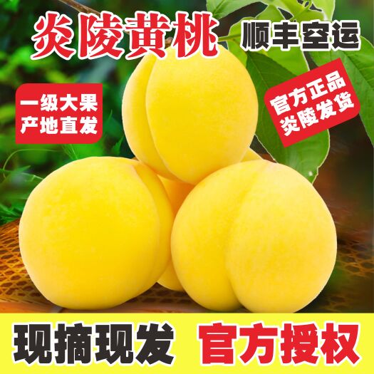 炎陵县炎陵黄桃，锦绣黄桃，官方授权店