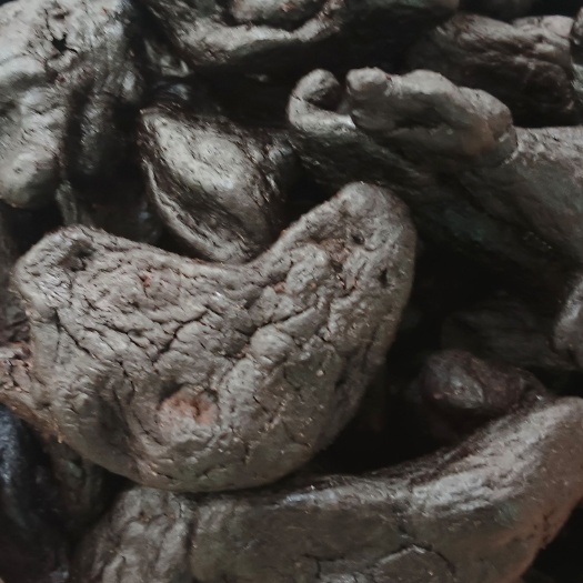 玉林制黄精，黄酒制黄精