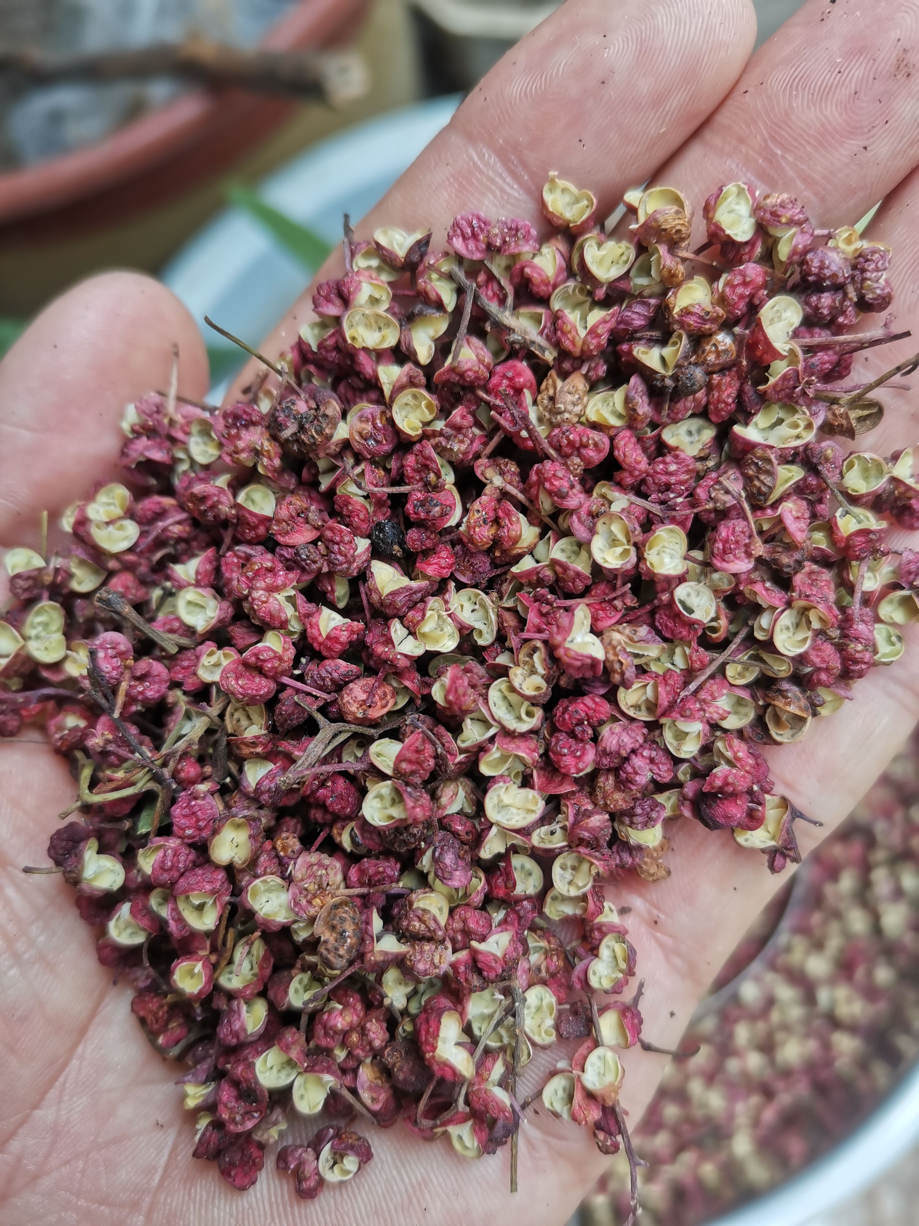 武都花椒产地直销，量大从优