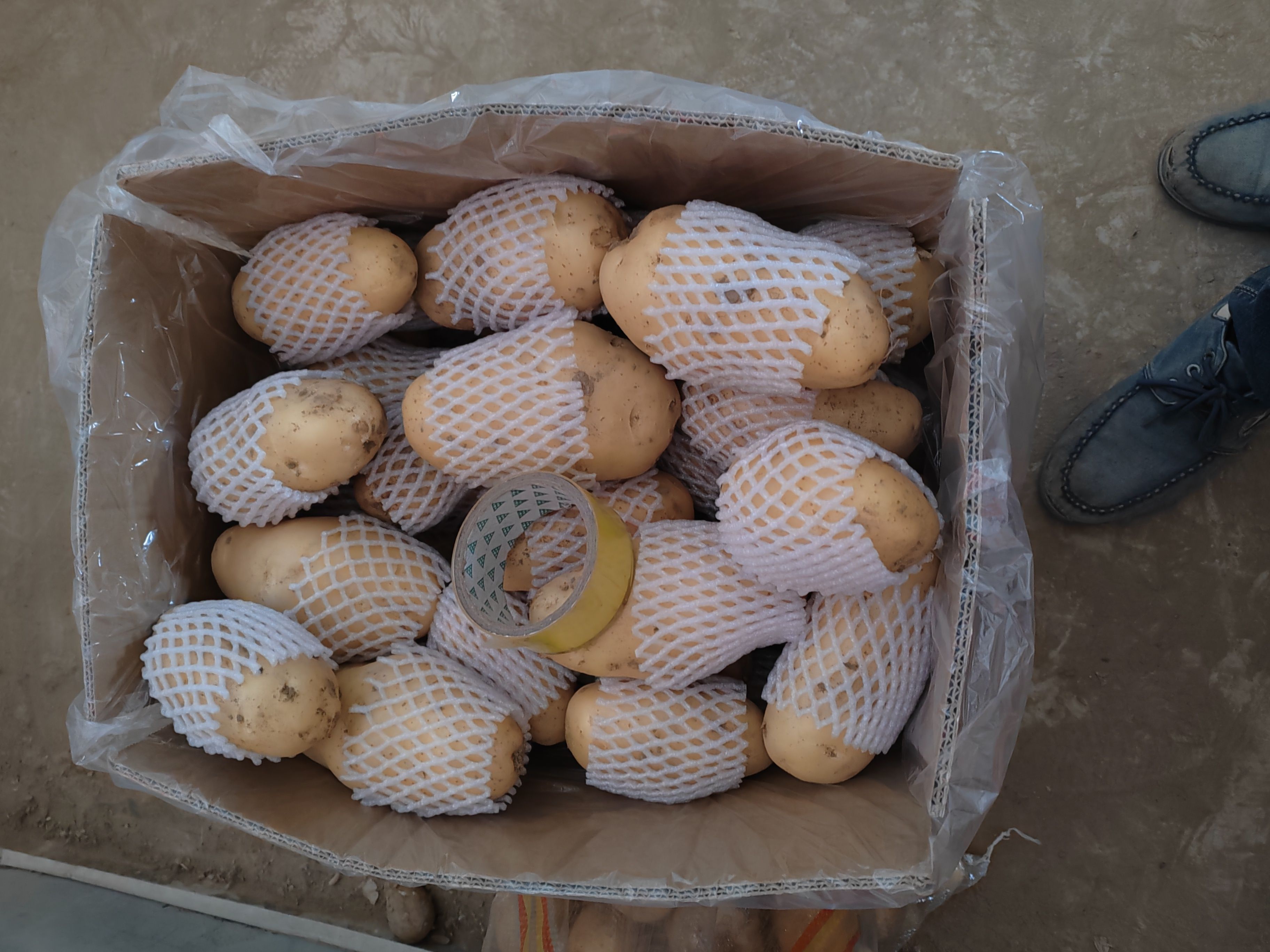 黄心土豆冷库保鲜土豆三两起步