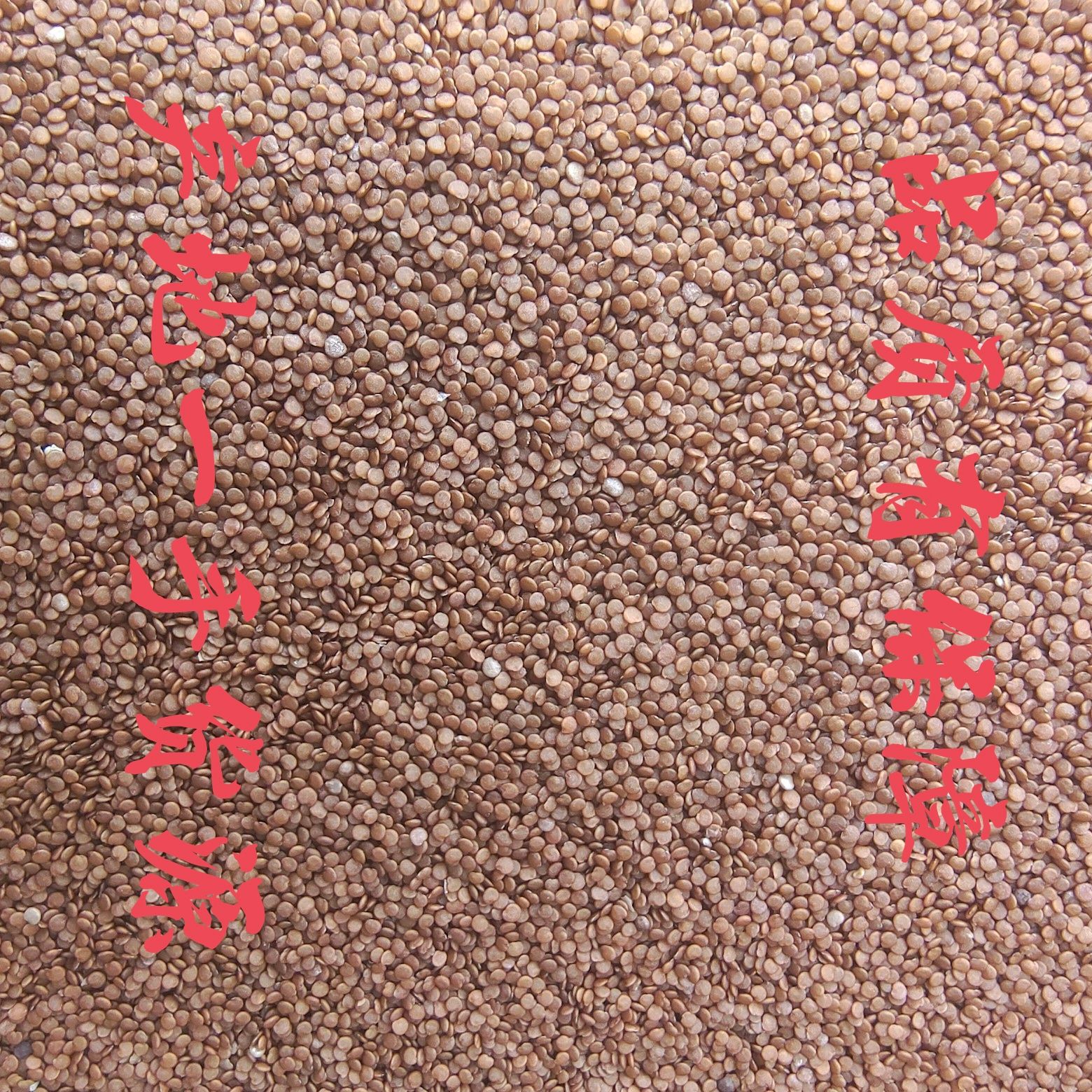 ｛优选冰粉籽}夏季解暑网红手搓气泡冰粉原料