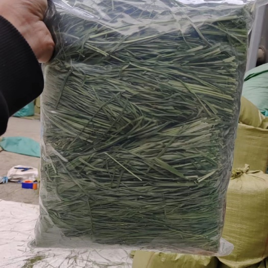 岷县23年头茬无穗烘干提摩西