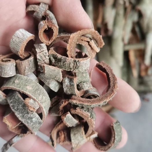 城固县厚补皮皮丝