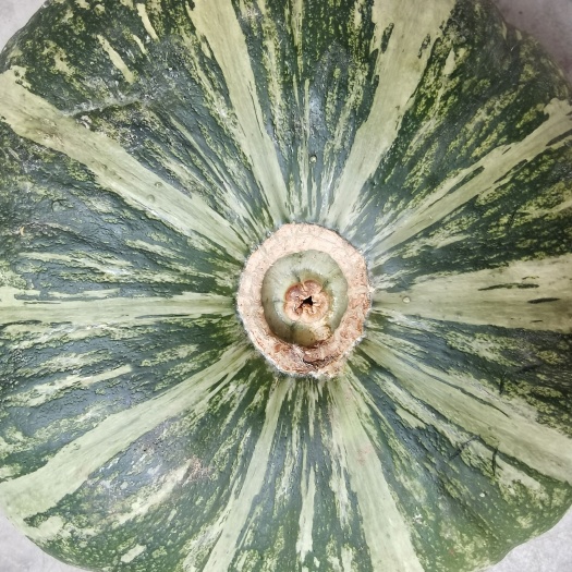 洪洞县板栗南瓜