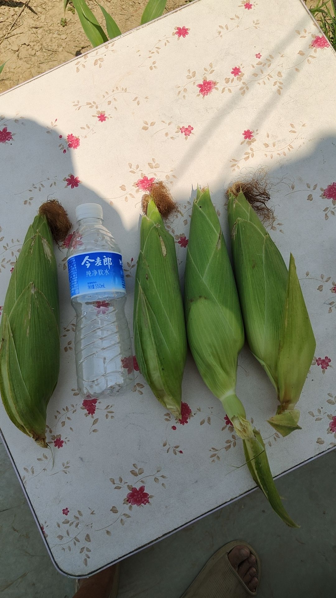 白糯玉米
