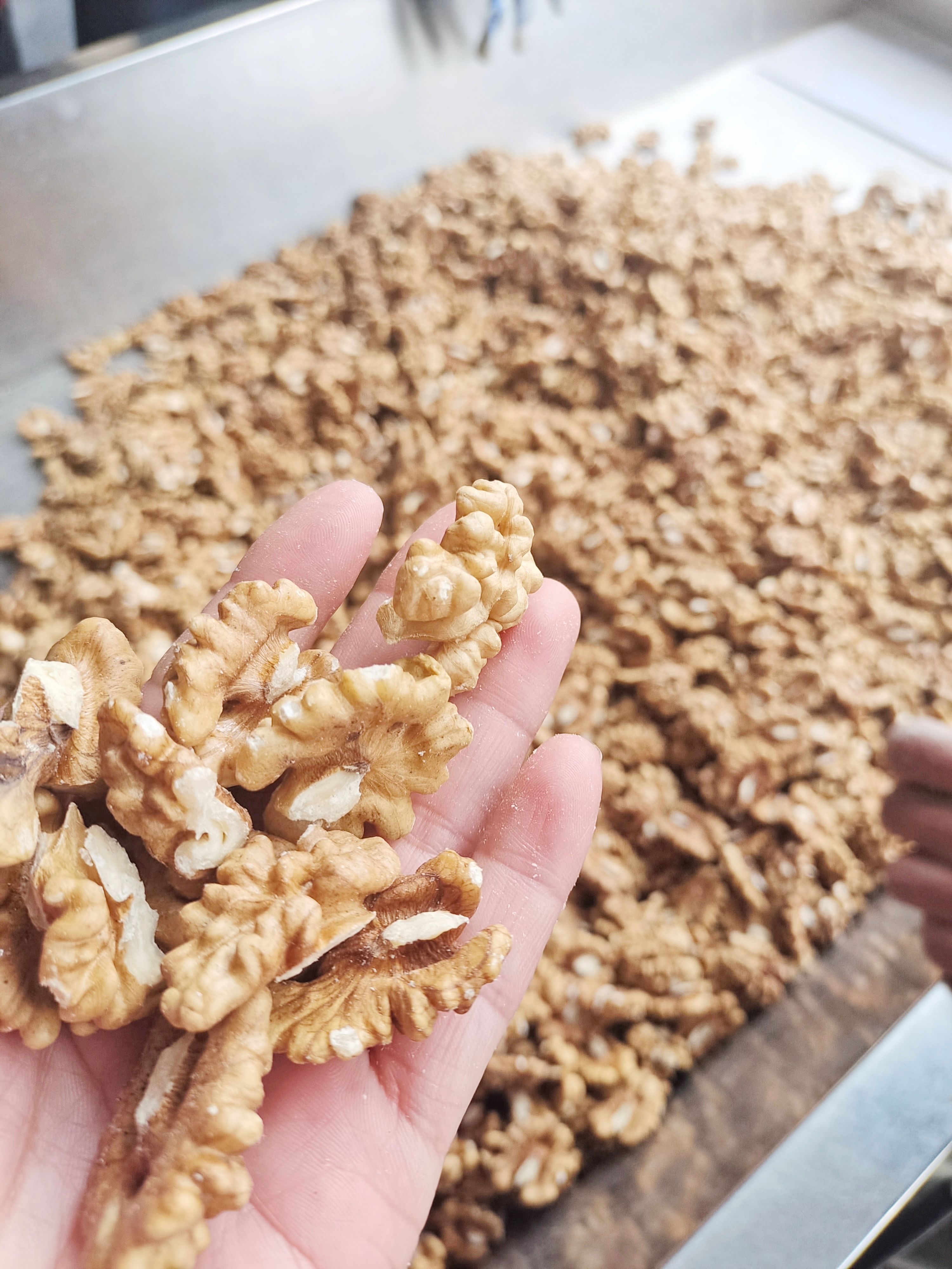 核桃仁 185尖白头路，仁大饱满，散装批发，出口级标准