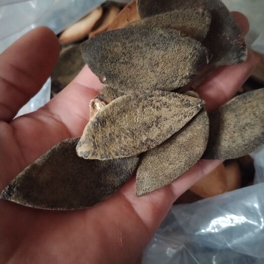 化州市化州橘红一爪
