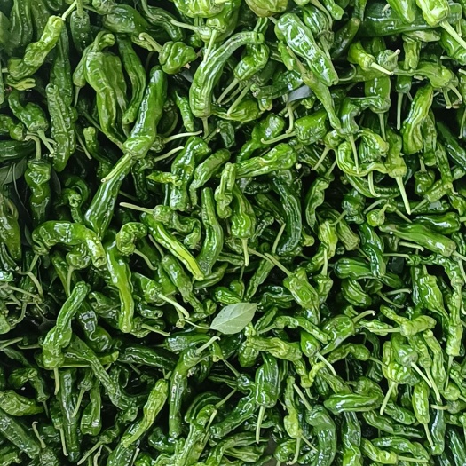 阜南县皱皮辣椒8号青线椒
