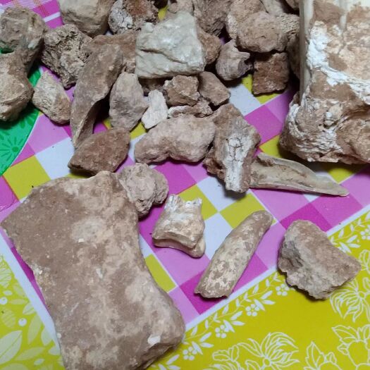 呼和浩特土龙骨