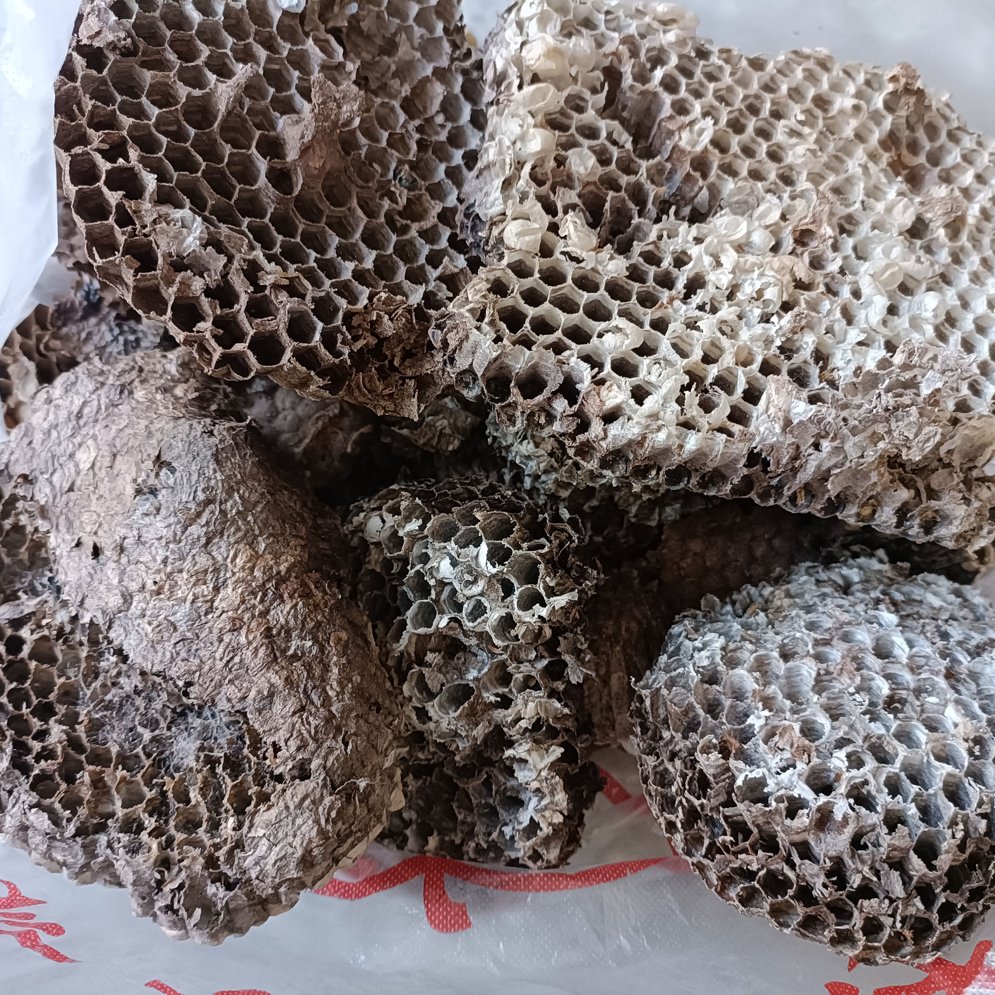 蜂房蜂窝蜂子窝软蜂房大山里采摘的药材用无硫熏