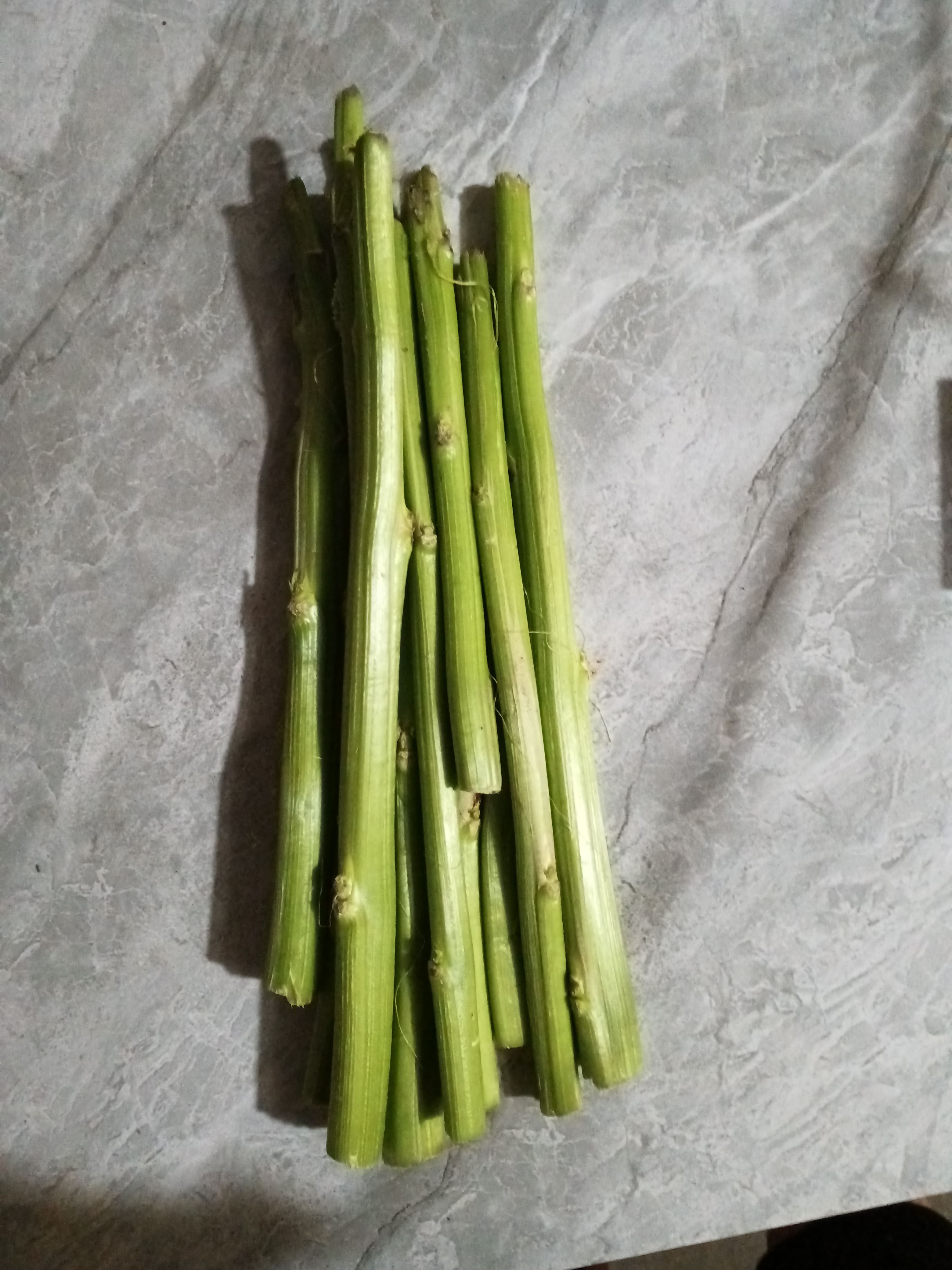 批發(fā)自種莧菜梗粗嫩實心長桿汗菜桿，莓莧菜梗原材料新鮮發(fā)物流