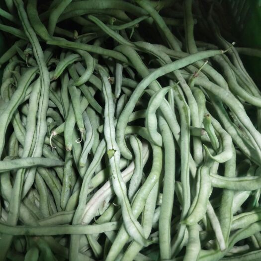 徽县精品架豆王