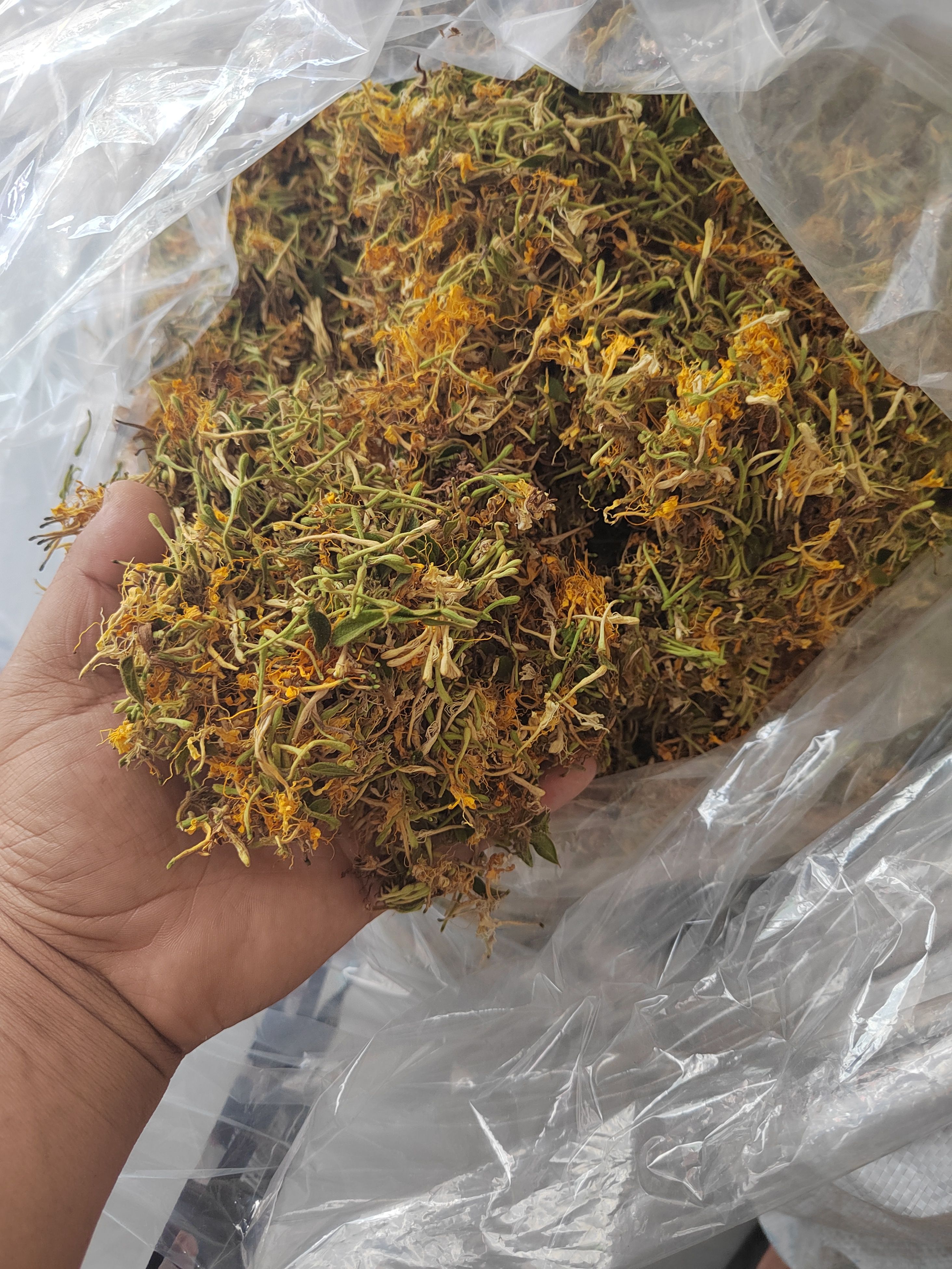 贵州金银花，多规格，价格高低都有，现货，量大优惠