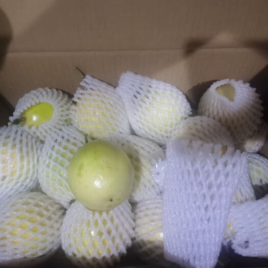 贺州纯甜无酸钦蜜黄金百香果