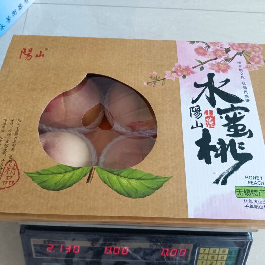 无锡阳山水蜜桃 支持一件代发 支持代办 有基地 可以现场直播