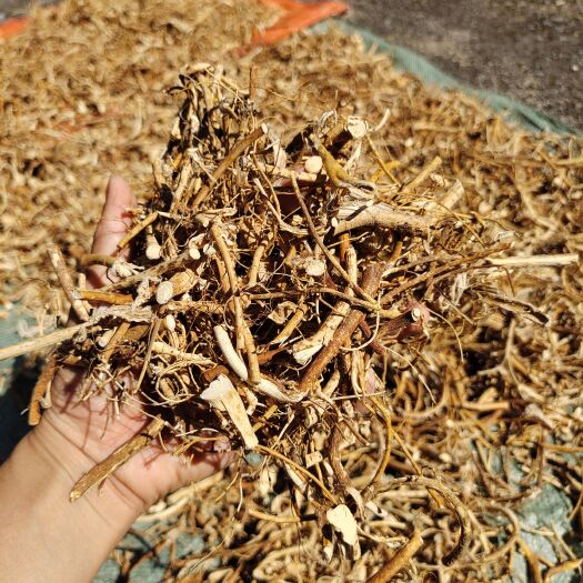 连南县五指毛桃（干货）无硫（非种植）砍晒干
