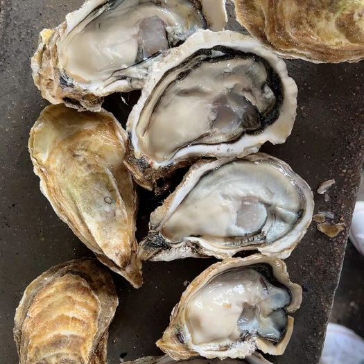 连云港拍单链接。方便算账！没有2块的货谢谢