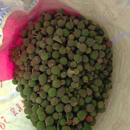 宜阳县要鲜货的联系可以发车走
