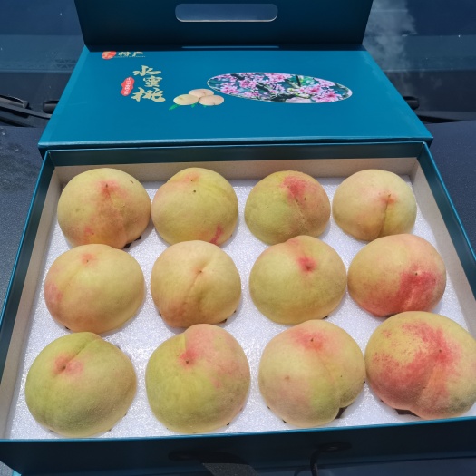 奉化水蜜桃良方品种12只装24只装 价格美丽 招代理一件代发