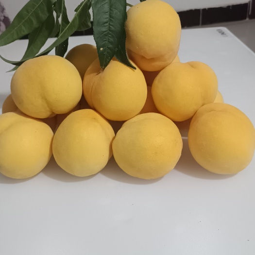 蒙阴县 沂蒙山黄金蜜黄桃 桃味浓郁 汁多 口感好现摘现发