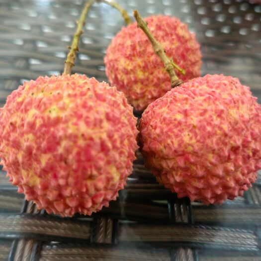 广州从化桂味荔枝