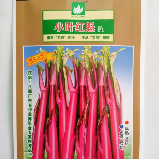 红菜苔种子 早熟棒棒苔产量高小尖叶亮鲜红无蜡粉基地种植10