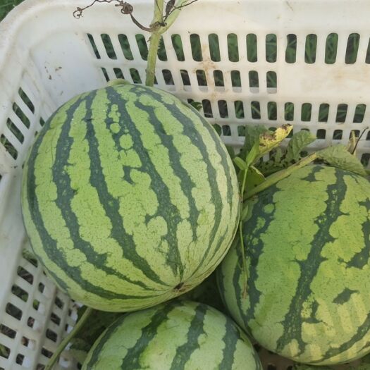 庐江县美都