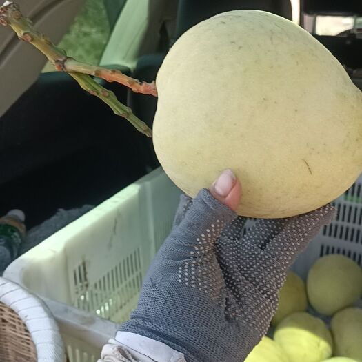 华坪县澳芒
