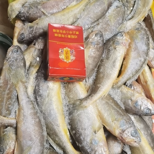 象山县黄花鱼