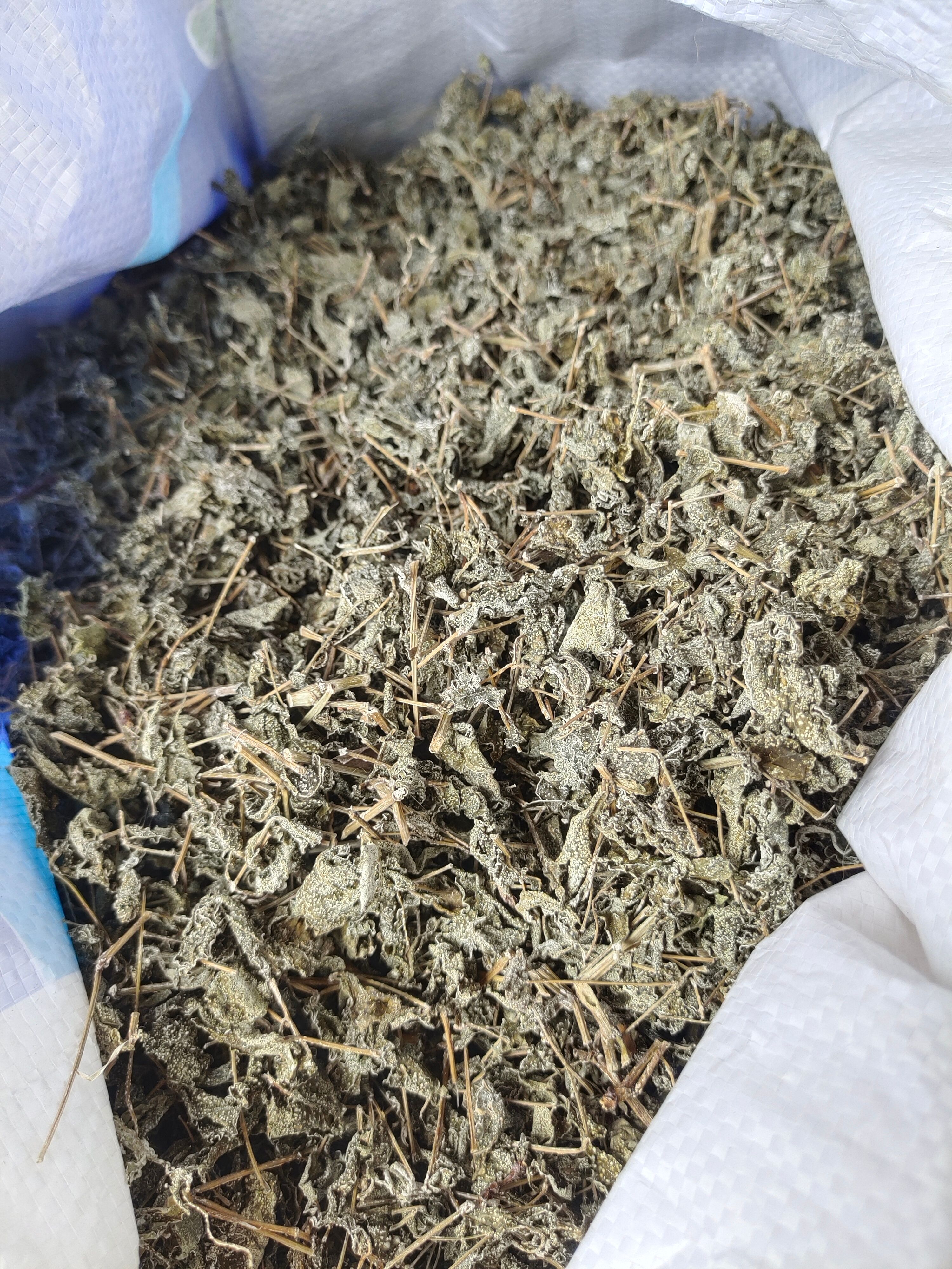 野生莓茶藤茶白茶