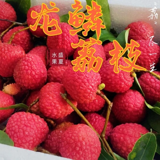 预售 普宁赤岗龙鳞荔枝（玲珑荔枝）