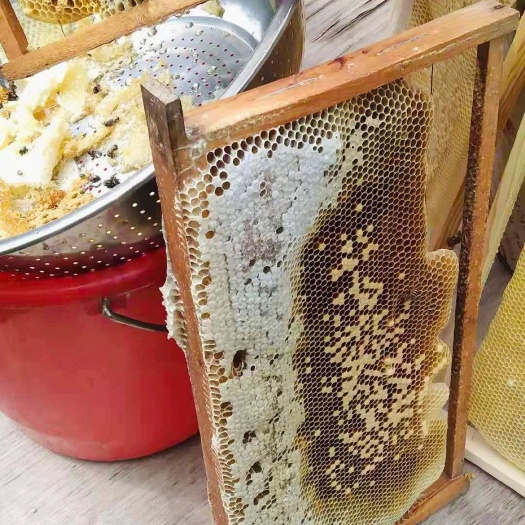 安溪县闽南土蜂蜜