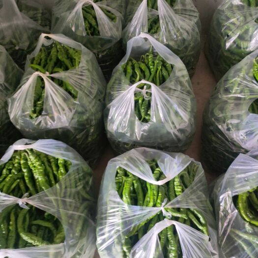 黔西市贵州高原精品鲜辣椒