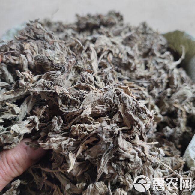 艾叶不带杆净叶大叶蕲艾湖北艾草薰蚊虫打艾绒做艾灸煮水泡浴