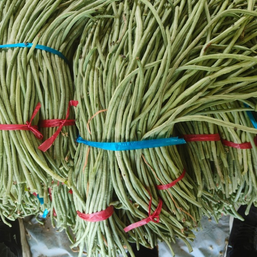 北京豆角工厂货，量大从优