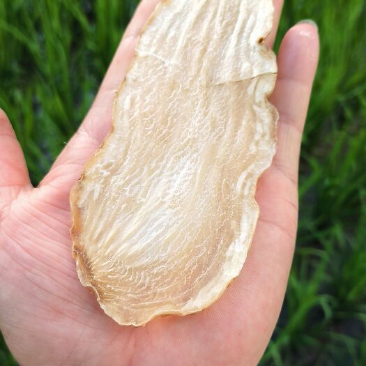 汉中可以直接泡水喝的无硫天麻