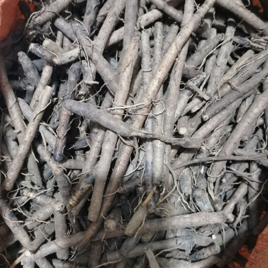 普安县贵州深山小叶仙茅，又名小棕根，产地直销