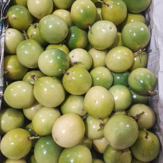 岑溪市钦蜜9号香甜无酸黄金百香果。甜酸紫皮百香果