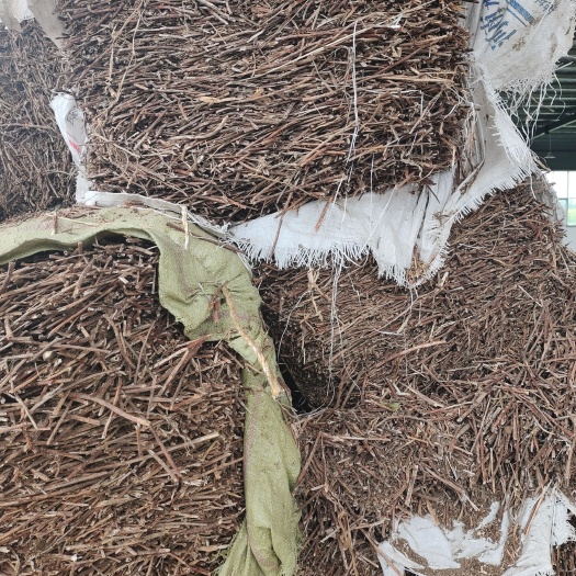 洛阳景天三七