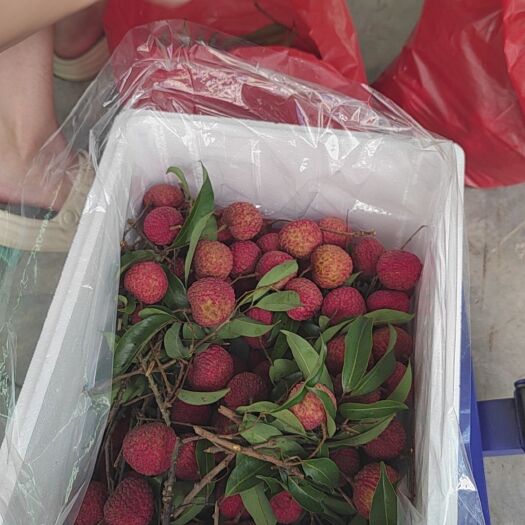 广州荔枝