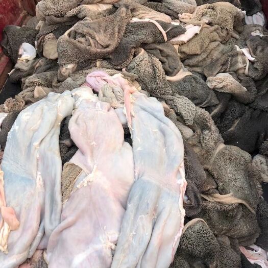 免洗羔羊毛肚