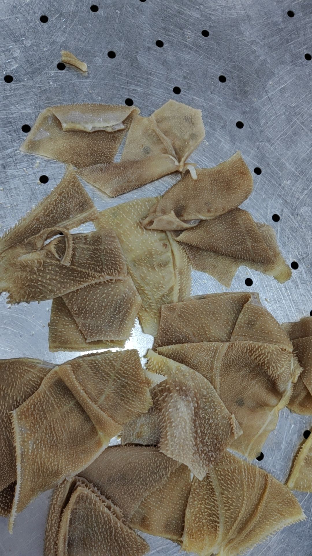 毛肚切叶片，火锅，自助餐性价比宝贝，凉拌，中餐均适用