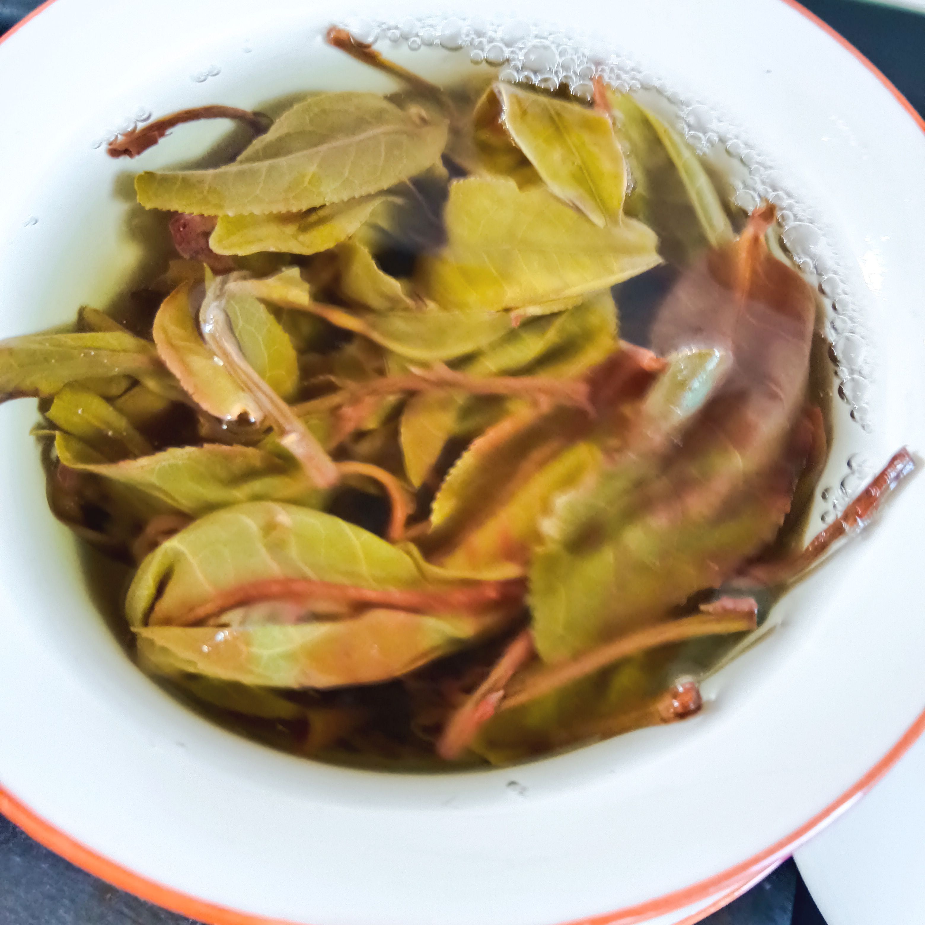 普洱  大树藤条(23年夏茶)