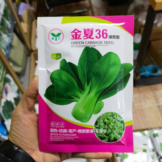西安耐热青梗青菜种子金夏36、圆美小油菜南北方春夏秋种植青菜种子
