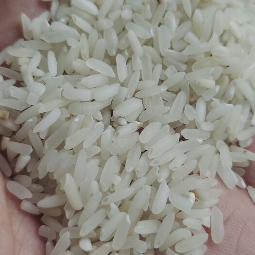 贞丰县二零年湖北丰优，货在凯里