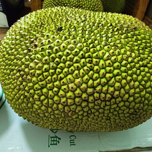 廉江市牛路头无胶菠萝蜜