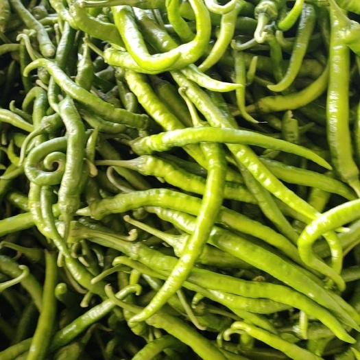 商丘二荆条