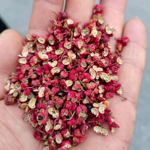 陇南武都大紅袍花椒