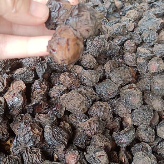 成都乌梅，青梅制干，产地四川，骨肉多，干度好