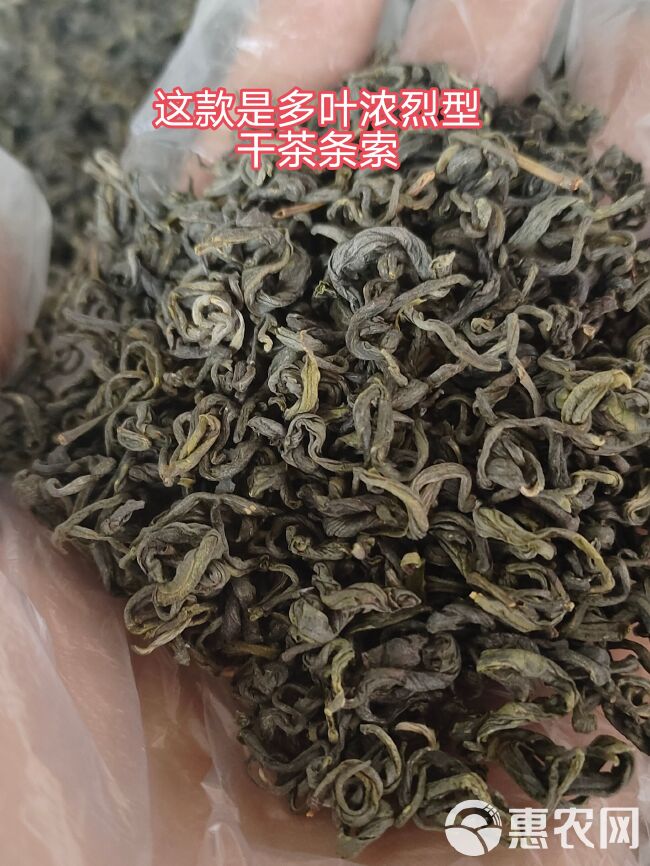 高山老品种绿茶500g浓烈型绿茶来自海拔1860米左右荒野茶